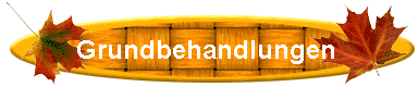 Grundbehandlungen