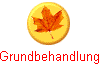 Grundbehandlung