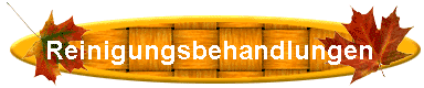 Reinigungsbehandlungen